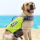 New Reflective Printed Pet Dog Life Jacket